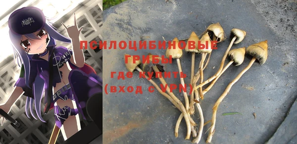 MDMA Premium VHQ Алзамай