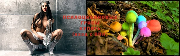 не бодяженный Алексин